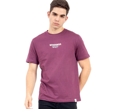 PLAYERA PARA HOMBRE ESTAMPADO QUARRY WONDERFUL QUARRY