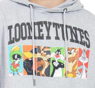 SUDADERA PARA HOMBRE HOODIE ESTAMPADA LOONEY QUARRY